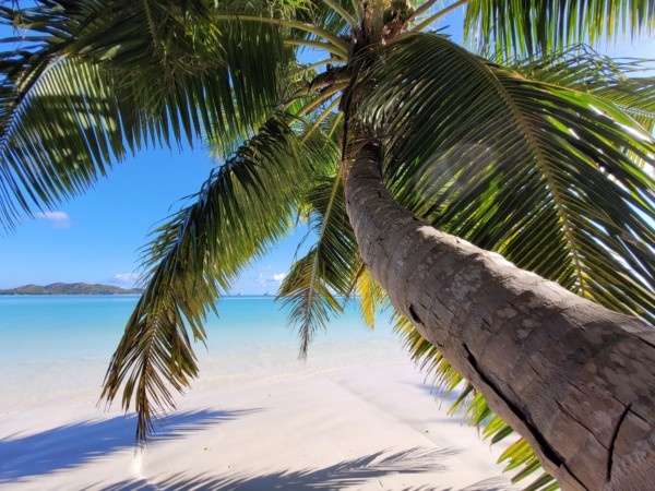 © Barbara Blunschi reisen-lifestyle.ch – Die Strände der Seychellen gehören nicht umsonst zu den schönsten der Welt. Bahamas Martini