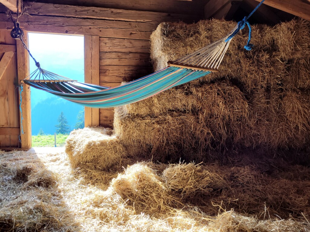 © Barbara Blunschi www.reisen-lifestyle.ch Auf der Alp übernachten die Gäste im Stroh über dem Kuhstall.