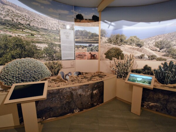 © Barbara Blunschi reisen-lifestyle.ch Das Targant-Zentrum beherbergt das erste Arganöl-Museum der Welt.