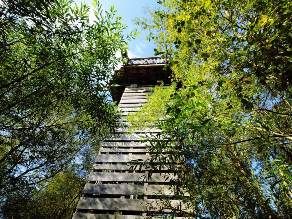 © Barbara Blunschi reisen-lifestyle.ch Aussichtsturm zur Vogelbeobachtung im Rieselfelder Münster.