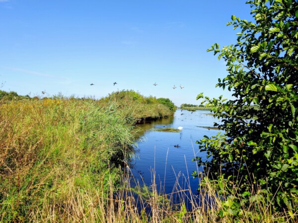© Barbara Blunschi reisen-lifestyle.ch Das Vogelschutzgebiet Rieselfelder Münster ist für seine Artenvielfalt bekannt.